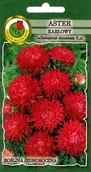Nasiona i cebule - Aster karłowy czerwony 0,8 g PNOS - miniaturka - grafika 1