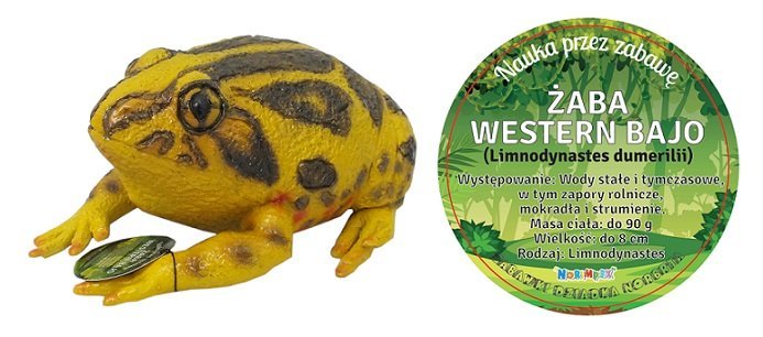 Żaba Western Bajo 21 Cm Długości