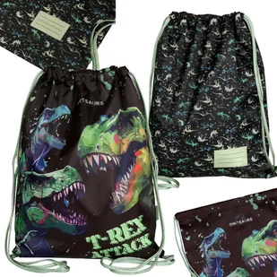 Dinozaury Worek na buty dla chłopca, worek szkolny NA WF na obuwie, TRENINGOWY 34x43 cm - Worki na buty - miniaturka - grafika 1