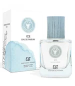 Wody i perfumy damskie - FiiLiT, Ice, woda perfumowana, 50 ml - miniaturka - grafika 1