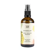 Toniki i hydrolaty do twarzy - Nature Queen Nature Queen Hydrolat Kocanka Włoska 100ml 46526-uniw - miniaturka - grafika 1