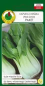 Nasiona i cebule - KAPUSTA PAK-CHOI PAKET 1g - miniaturka - grafika 1