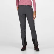 Spodnie damskie - Regatta Damskie Spodnie Trekkingowe Mountain Iii Szary, Rozmiar: 34S - miniaturka - grafika 1