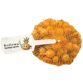 Nasiona i cebule - Cebula Dymka - miniaturka - grafika 1