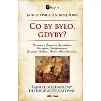 Co by było, gdyby... - Andrzej Sowa, Janusz Osica - Historia świata - miniaturka - grafika 1