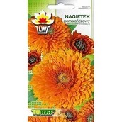 Nasiona i cebule - Toraf Nasiona Nagietek pomarańczowy 1g - miniaturka - grafika 1