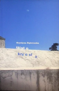 Białe krzesła - Poezja - miniaturka - grafika 1