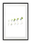 Plakaty - Plakat A3 30x42 cm Kwiaty Rośliny Zieleń Natura WZORY - miniaturka - grafika 1