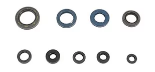 Athena P40FORK455086 Zestaw Reten oleju, Widelec - Części motocyklowe - miniaturka - grafika 1