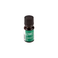 Aromaterapia - Nature Queen NATURE QUEEN Olejek eteryczny, EUKALIPTUS, 10 ml 5902610970412 - miniaturka - grafika 1