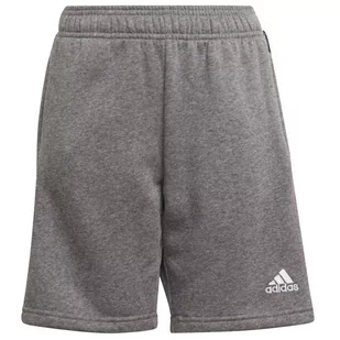 Adidas, Spodenki dziecięce, Tiro 21 Sweat Short Junior GP8806, szary - Odzież sportowa dziecięca - miniaturka - grafika 1