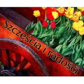 Aforyzmy i sentencje - Edycja Świętego Pawła praca zbiorowa Perełka 185. Szczęścia i radości - miniaturka - grafika 1