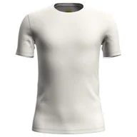 Koszulki męskie - Koszulka męska Icebreaker Anatomica SS Crewe Undyed M - miniaturka - grafika 1