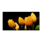 Obrazy i zdjęcia na płótnie - Obraz zdjęcie szkło akryl Żółte tulipany - miniaturka - grafika 1