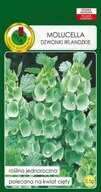 Nasiona i cebule - Molucella 0.5 g PNOS - miniaturka - grafika 1