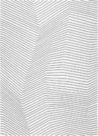 Dywany - DYWAN San Andreas White Black, biały, geometryczny wzór, czarne linie, nowoczesny - miniaturka - grafika 1