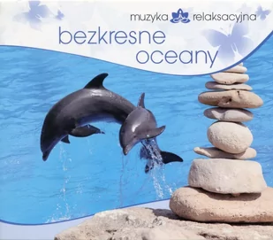 Lech Kowalski Muzyka relaksacyjna Bezkresne oceany Różni Wykonawcy - Muzyka relaksacyjna - miniaturka - grafika 2