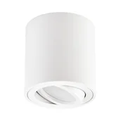 Lampy sufitowe - OPRAWA NATYNKOWA SPOT TUBA BIAŁA BOLT W1 - miniaturka - grafika 1