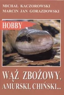 Poradniki hobbystyczne - Wąż zbożowy - miniaturka - grafika 1