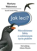 Nauki przyrodnicze - Jak leci?. Niecodzienne fakty o codziennym życiu ptaków - miniaturka - grafika 1