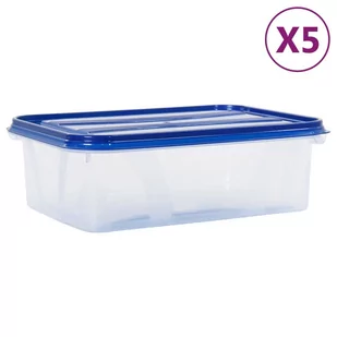 vidaXL Pojemniki do żywności z pokrywkami, 10 elementów, PP vidaXL - Pudełka i szkatułki - miniaturka - grafika 1