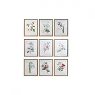 Plakaty - Emaga Obraz DKD Home Decor Kwiaty, rośliny i drzewa Shabby Chic (40 x 2 x 50 cm) (9 Sztuk) - miniaturka - grafika 1