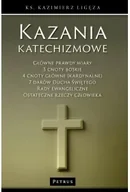 Religia i religioznawstwo - Kazania katechizmowe 2 - miniaturka - grafika 1
