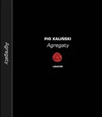 Książki o kulturze i sztuce - Agregaty. Album graficzny - miniaturka - grafika 1