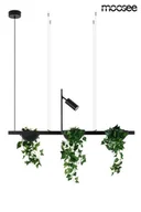 Lampy sufitowe - MOOSEE lampa wisząca PLANT LINE czarna - miniaturka - grafika 1