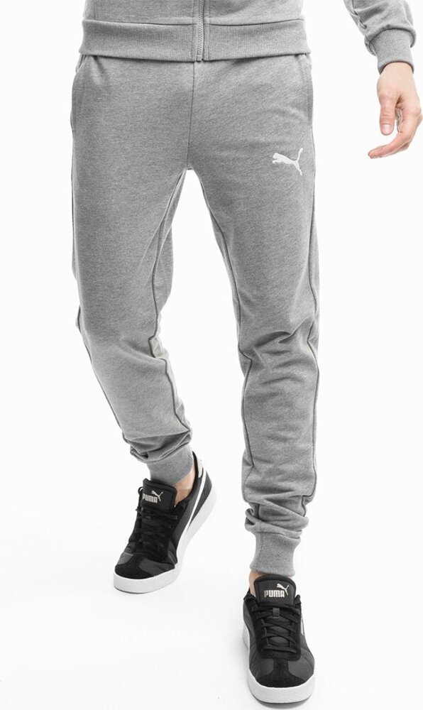Puma Spodnie męskie Puma Team Goal Casuals szare 658598 33 L