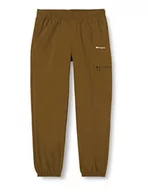 Spodenki męskie - Champion Męskie spodnie dresowe Authentic Pants Small Script Logo Cargo, spodnie treningowe, zielony (moosgrün), L - miniaturka - grafika 1