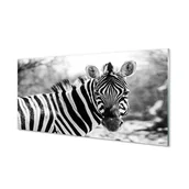Tablice i flipcharty - Ochronny panel do kuchni + klejRetro zebra 120x60 - miniaturka - grafika 1