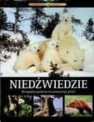Albumy krajoznawcze - Niedźwiedzie od łagodnej pandy do nieustraszonego grizzly - miniaturka - grafika 1