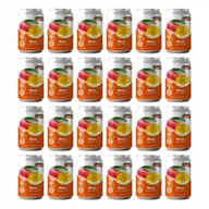 Soki i napoje niegazowane - Jungle Fruits Napój o smaku Mango Zgrzewka 24 x 330 ml - miniaturka - grafika 1