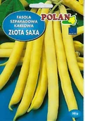 Nasiona i cebule - Fasola Zw. Karłowa Złota Saxa 50g Polan - miniaturka - grafika 1