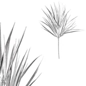 Ozdoby bożonarodzeniowe - Sztuczna trawa, srebrny matowy - miniaturka - grafika 1