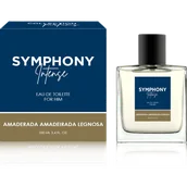 Wody i perfumy męskie - MELODY MEN SYMPHONY INTENSE Woda toaletowa 100ml - miniaturka - grafika 1
