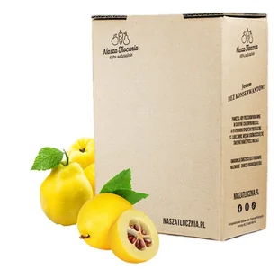 Syrop z Pigwowca niskosłodzony 3kg - Syropy i koncentraty owocowe - miniaturka - grafika 1