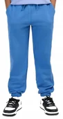 Spodnie i spodenki dla chłopców - Chłopięce spodnie dresowe 4F joggery M1506 32S niebieski 140 cm - miniaturka - grafika 1