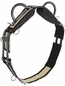 Akcesoria jeździeckie - BUSSE Pas do lonżowania/woltyżerki z podwójnym uchwytem Double - miniaturka - grafika 1