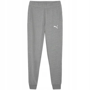 Spodnie męskie Puma Team Goal Casuals szare 658598 33 L - Dresy męskie - miniaturka - grafika 1