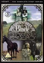 The Adventures Of Black Beauty, DVD - Książki o kulturze i sztuce - miniaturka - grafika 1