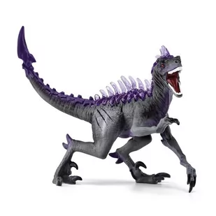 Raptor Cienia - Albumy krajoznawcze - miniaturka - grafika 1