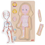 Zabawki sensoryczne - Układanka anatomia ciała dziewczynka Goki - miniaturka - grafika 1