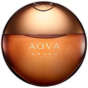 Bvlgari Aqva Amara 100ml woda toaletowa - Wody i perfumy męskie - miniaturka - grafika 1