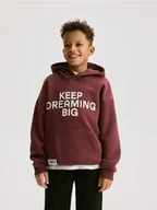 Bluzy dla chłopców - Reserved - Bluza z kapturem - bordowy - miniaturka - grafika 1