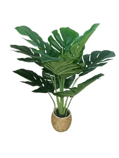 ROŚLINA SZTUCZNA Monstera HOMLA 60 cm - Sztuczne kwiaty - miniaturka - grafika 1