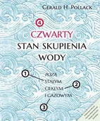 Technika - Czwarty stan skupienia wody - Gerald Pollack - miniaturka - grafika 1