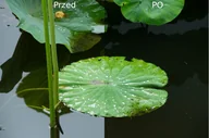 Filtry fotograficzne - Filtr Hoya Polaryzacyjny Pl-Cir Ux Ii 77 Mm - miniaturka - grafika 1