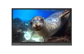 Monitory reklamowe i wyświetlacze - BenQ Monitor dotykowy RP860K 86"" - cena 0% VAT RP860K - miniaturka - grafika 1